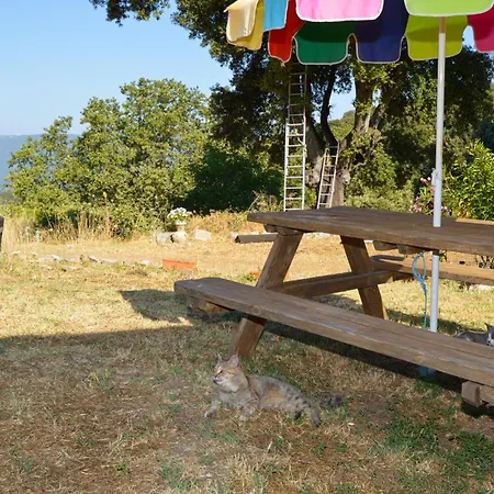 Stacaravan In Campsite Casalabriva